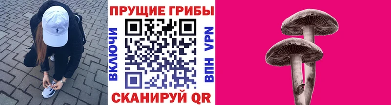 кракен рабочий сайт  купить наркотик  Фурманов  Галлюциногенные грибы мицелий 