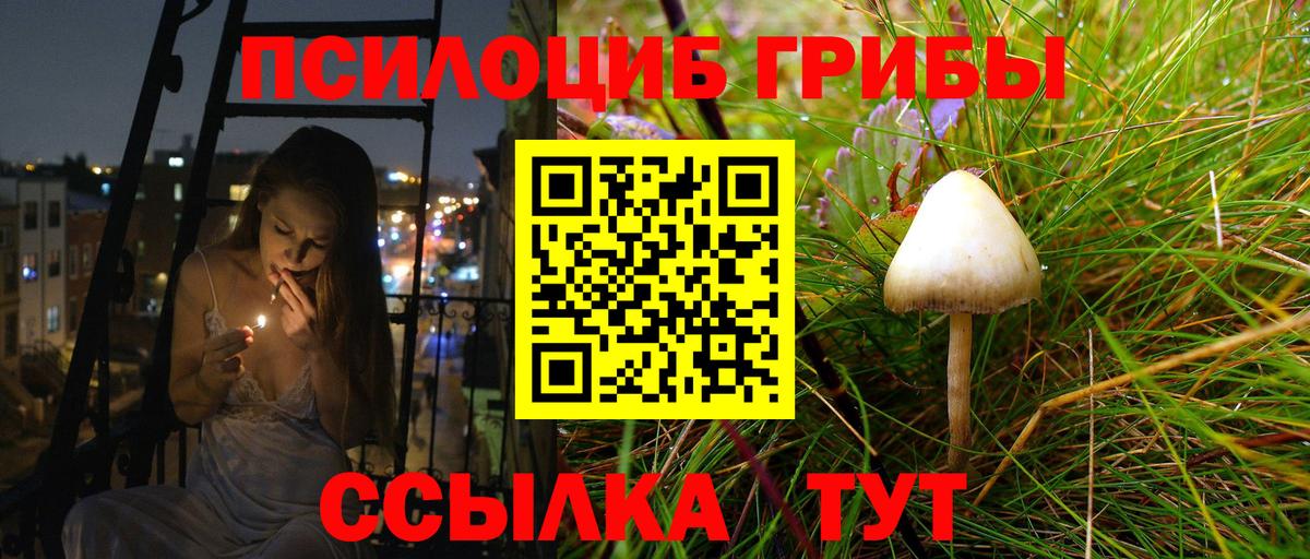Псилоцибиновые грибы прущие грибы Фурманов