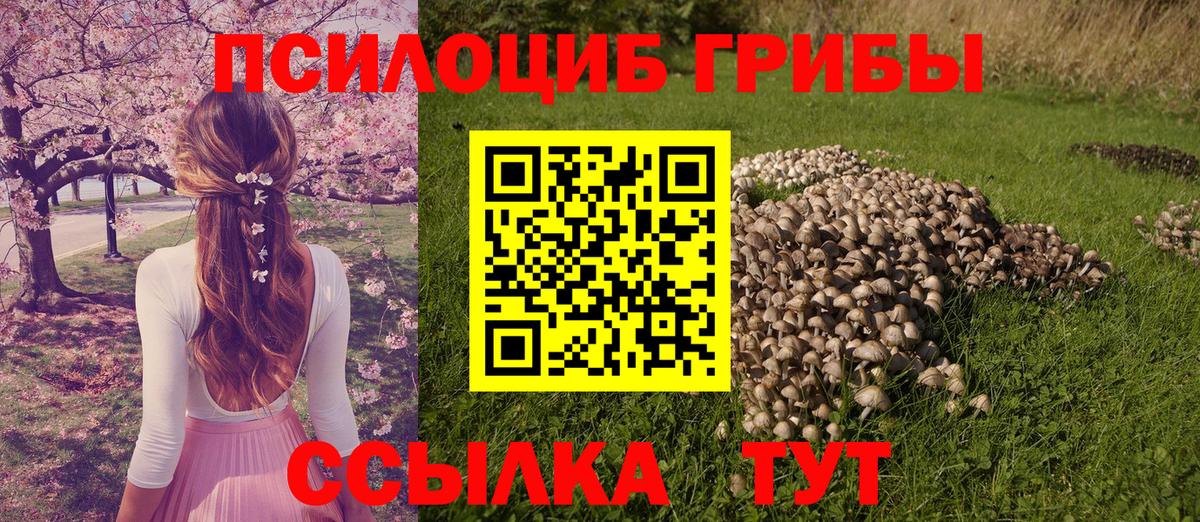 Фурманов  Псилоцибиновые грибы Cubensis  Вход с VPN 